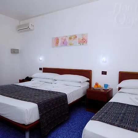 Olympia Otel 3*