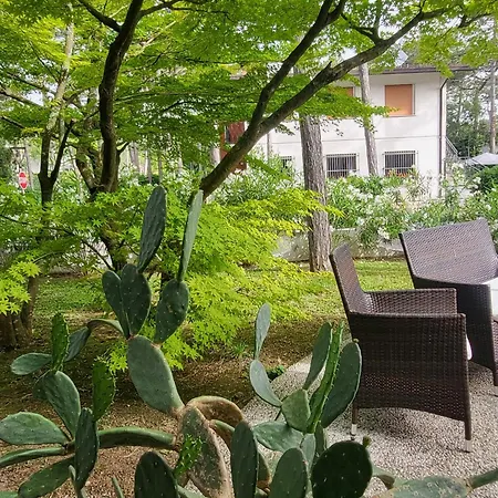 Olympia 3* Lignano Sabbiadoro