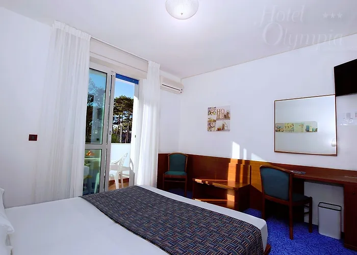 Hotel Olympia 3*
